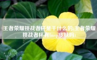 王者荣耀挑战者杯是干什么的(王者荣耀挑战者杯有fmvp皮肤吗)