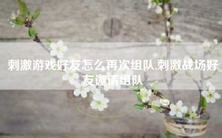 刺激游戏好友怎么再次组队,刺激战场好友邀请组队