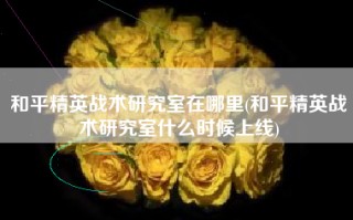 和平精英战术研究室在哪里(和平精英战术研究室什么时候上线)
