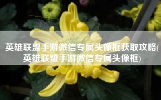 英雄联盟手游微信专属头像框获取攻略(英雄联盟手游微信专属头像框)