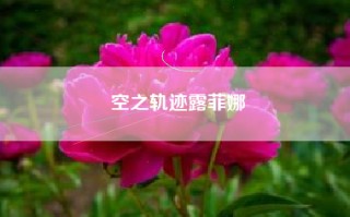 空之轨迹露菲娜