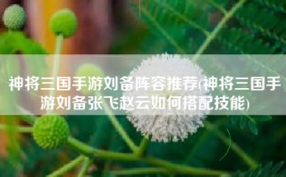 神将三国手游刘备阵容推荐(神将三国手游刘备张飞赵云如何搭配技能)