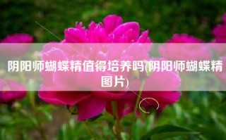 阴阳师蝴蝶精值得培养吗(阴阳师蝴蝶精图片)