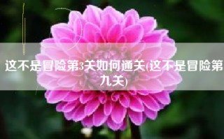 这不是冒险第3关如何通关(这不是冒险第九关)