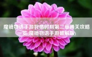 魔镜物语手游狩猎时刻第二章通关攻略一览(魔镜物语手游破解版)