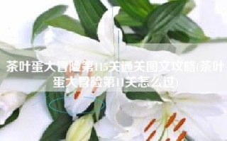 茶叶蛋大冒险第115关通关图文攻略(茶叶蛋大冒险第11关怎么过)