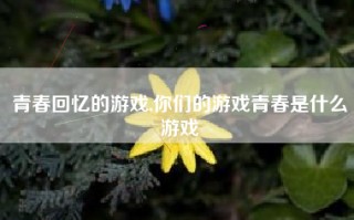 青春回忆的游戏,你们的游戏青春是什么游戏