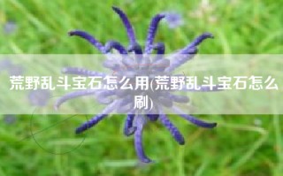 荒野乱斗宝石怎么用(荒野乱斗宝石怎么刷)