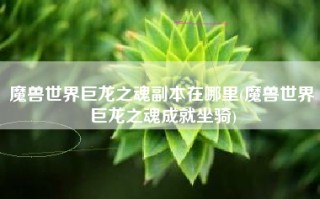 魔兽世界巨龙之魂副本在哪里(魔兽世界巨龙之魂成就坐骑)