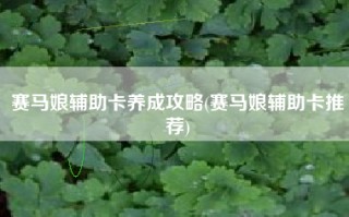 赛马娘辅助卡养成攻略(赛马娘辅助卡推荐)