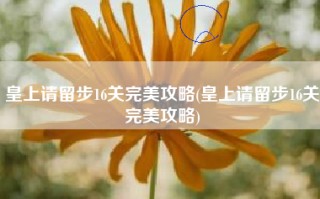 皇上请留步16关完美攻略(皇上请留步16关完美攻略)