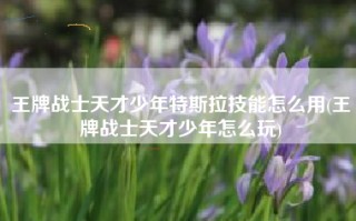 王牌战士天才少年特斯拉技能怎么用(王牌战士天才少年怎么玩)