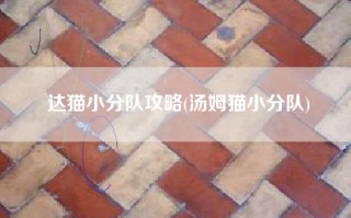 达猫小分队攻略(汤姆猫小分队)