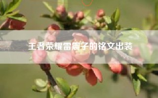 王者荣耀雷震子的铭文出装