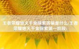 王者荣耀炮火千金探索答案是什么(王者荣耀炮火千金探索第一阶段)