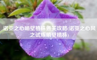 诺亚之心峭壁植株通关攻略(诺亚之心风之试炼峭壁植株)