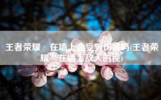 王者荣耀暃在墙上会受到伤害吗(王者荣耀暃在墙上敌人的视)