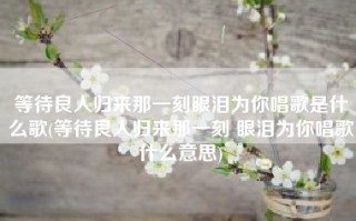 等待良人归来那一刻眼泪为你唱歌是什么歌(等待良人归来那一刻 眼泪为你唱歌什么意思)