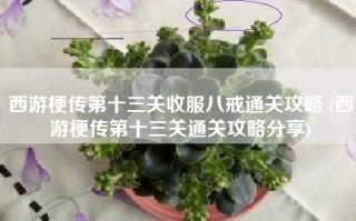 西游梗传第十三关收服八戒通关攻略 (西游梗传第十三关通关攻略分享)