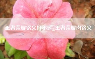 王者荣耀铭文打不过_王者荣耀肉铭文