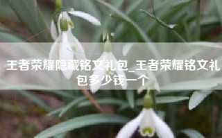 王者荣耀隐藏铭文礼包_王者荣耀铭文礼包多少钱一个