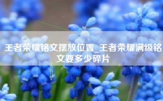 王者荣耀铭文摆放位置_王者荣耀满级铭文要多少碎片
