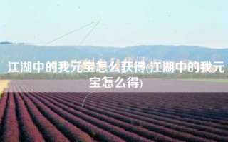 江湖中的我元宝怎么获得(江湖中的我元宝怎么得)