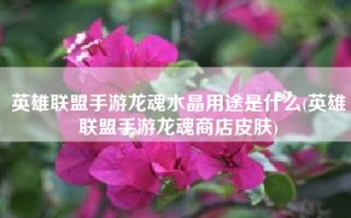 英雄联盟手游龙魂水晶用途是什么(英雄联盟手游龙魂商店皮肤)