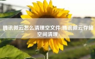 腾讯微云怎么清理空文件(腾讯微云存储空间清理)
