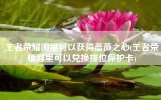 王者荣耀哪里可以获得蔷薇之心(王者荣耀哪里可以兑换排位保护卡)