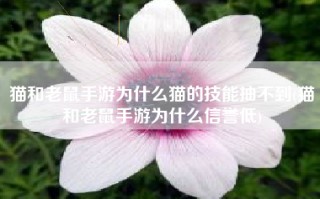 猫和老鼠手游为什么猫的技能抽不到(猫和老鼠手游为什么信誉低)