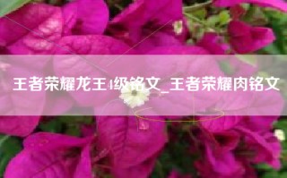王者荣耀龙王4级铭文_王者荣耀肉铭文