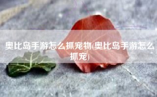 奥比岛手游怎么抓宠物(奥比岛手游怎么抓宠)