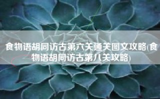 食物语胡同访古第六关通关图文攻略(食物语胡同访古第八关攻略)