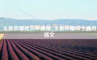 王者荣耀铭文不通用_王者荣耀战士通用铭文