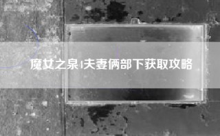 魔女之泉4夫妻俩部下获取攻略
