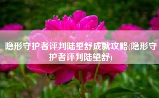 隐形守护者评判陆望舒成就攻略(隐形守护者评判陆望舒)