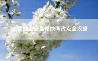 王牌战士安全屋地图占点全攻略