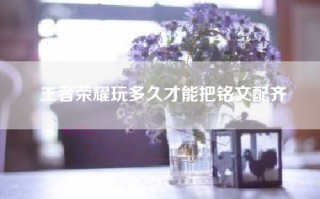 王者荣耀玩多久才能把铭文配齐