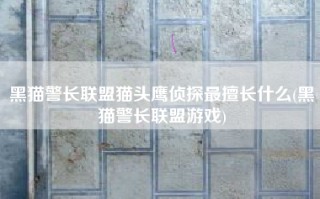 黑猫警长联盟猫头鹰侦探最擅长什么(黑猫警长联盟游戏)