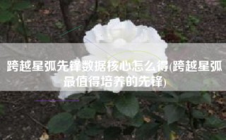 跨越星弧先锋数据核心怎么得(跨越星弧最值得培养的先锋)