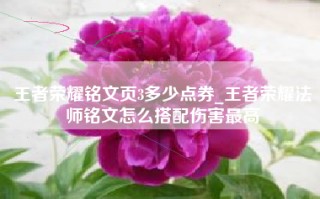王者荣耀铭文页3多少点券_王者荣耀法师铭文怎么搭配伤害最高