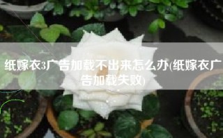 纸嫁衣3广告加载不出来怎么办(纸嫁衣广告加载失败)