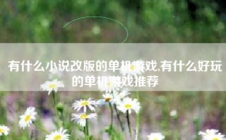 有什么小说改版的单机游戏,有什么好玩的单机游戏推荐