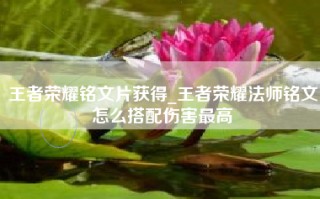 王者荣耀铭文片获得_王者荣耀法师铭文怎么搭配伤害最高
