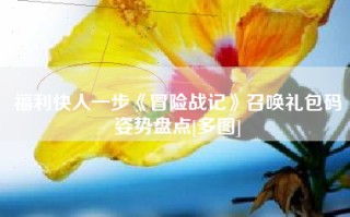 福利快人一步《冒险战记》召唤礼包码姿势盘点[多图]
