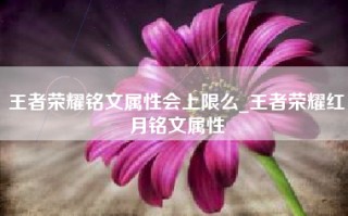 王者荣耀铭文属性会上限么_王者荣耀红月铭文属性