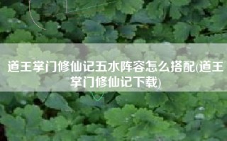 道王掌门修仙记五水阵容怎么搭配(道王掌门修仙记下载)