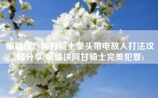 蝙蝠侠：阿甘骑士拳头带电敌人打法攻略分享(蝙蝠侠阿甘骑士完美犯罪)