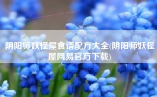 阴阳师妖怪屋食谱配方大全(阴阳师妖怪屋网易官方下载)